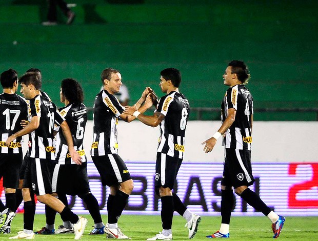 Renato comemora gol do Botafogo contra o Guarani (Foto: Marcos Ribolli / Globoesporte.com)