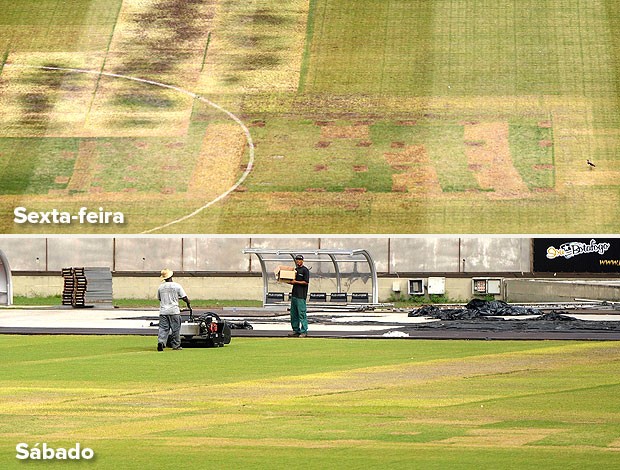 montagem gramado Engenhão (Foto: Editoria de Arte / Globoesporte.com)