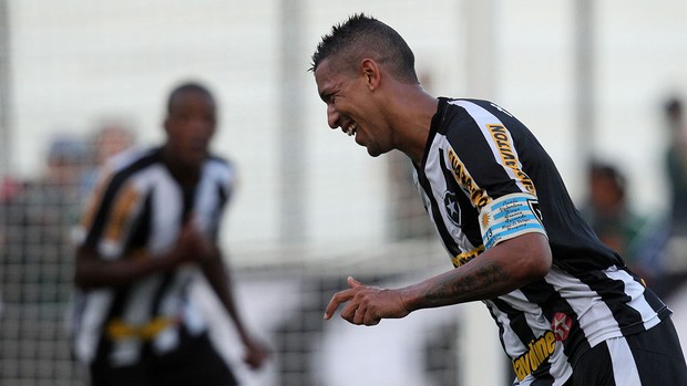 antonio carlos botafogo x volta redonda (Foto: Satiro Sodré/Agif)