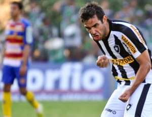 Herrera comemora gol do Botafogo sobre o Madureira (Foto: Celso Pupo/ Agência Estado)