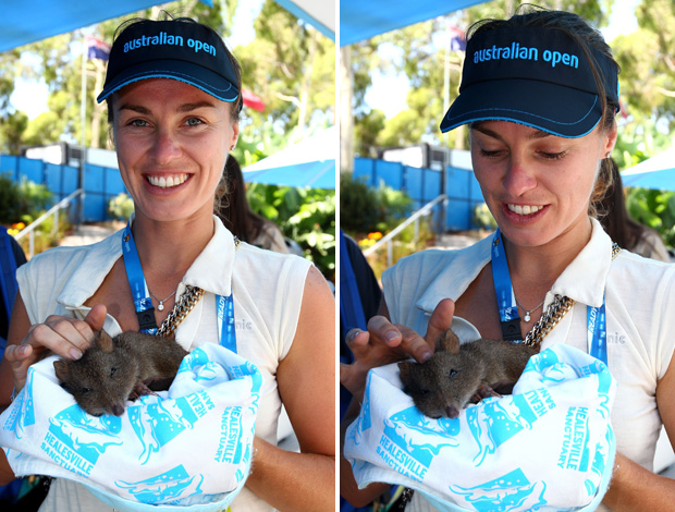 Martina Hingis tênis Australian Open urso koala (Foto: Getty Images)