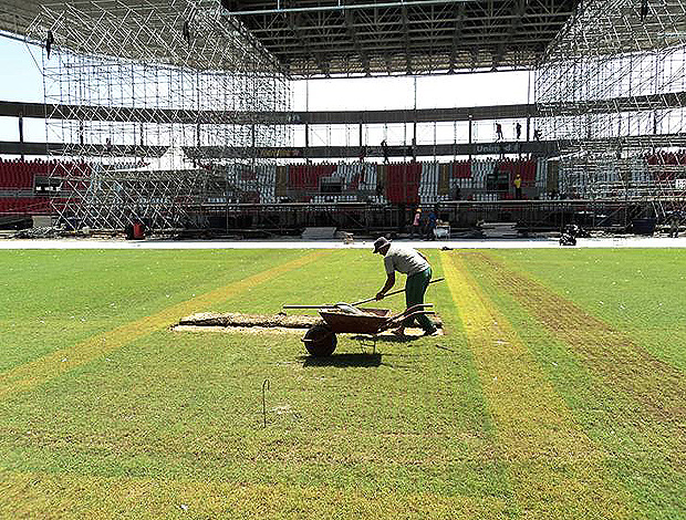 gramado engenhão (Foto: Divulgação/ Site Oficial Botafogo)