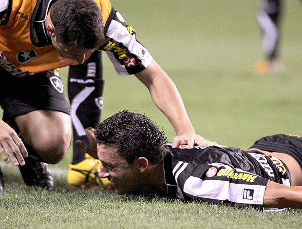 Gustavo comemora gol do Botafogo contra o Palmeiras (Foto: Jorge Wiliam / Agência O Globo)