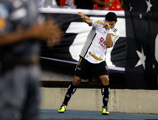 elkeson botafogo gol fluminense  (Foto: Wagner Meier / Agência Estado)