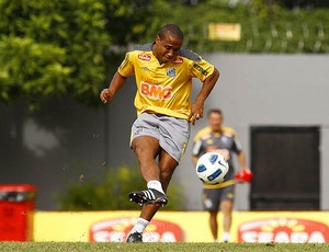 Borges (Foto: Ricardo Saibun / Santos FC)