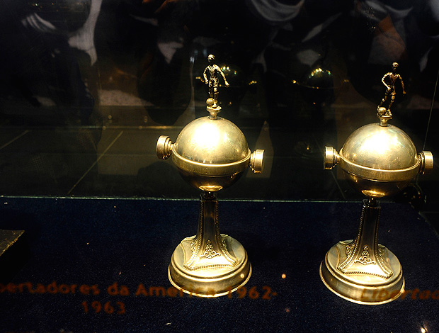 santos taça libertadores (Foto: Marcos Ribolli / Globoesporte.com)